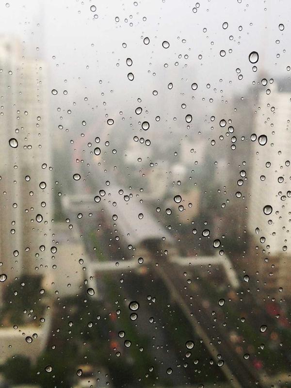 Áo cầu lông nam Pro - Image 1